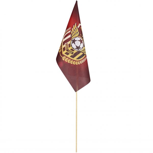 Champion Medium Hand Flag 45cm x 30cm